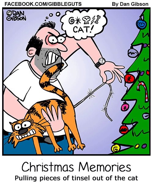 Christmas Memories of pulling tinsel out of the cat