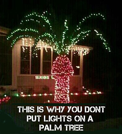 Palm Tree Christmas Lights Do Not Look right.