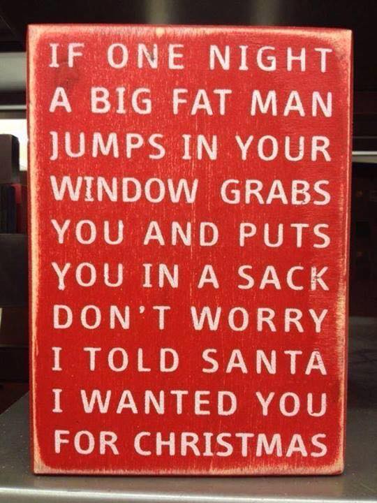 If one night a big fat man jumps in your window grabs you and puts you in a sack, Don't worry, i told Santa I wanted you for Christmas.