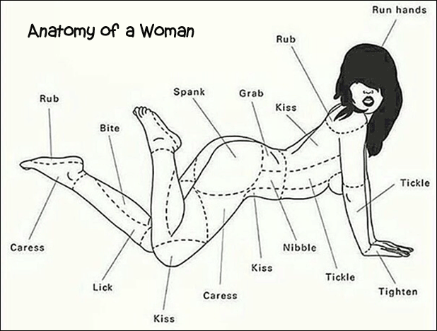 Anatomy Of A Woman