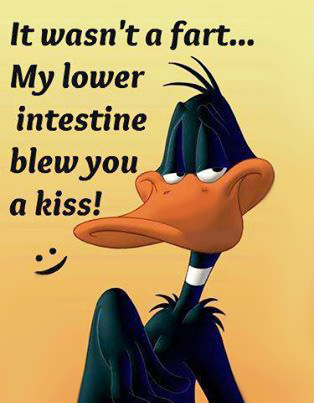 Duck says it wasn't a far...My lower intestine blew you a kiss.