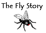 The Fly Story