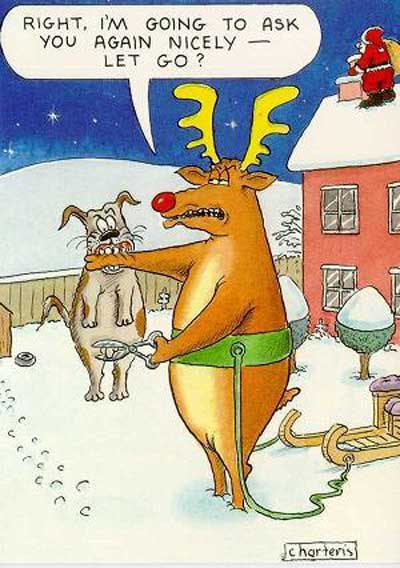 Reindeer threatens a dogs private parts