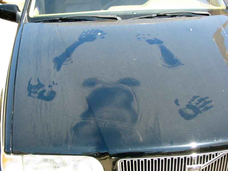 dust on car shows female with shirt off and male hands on top of car 