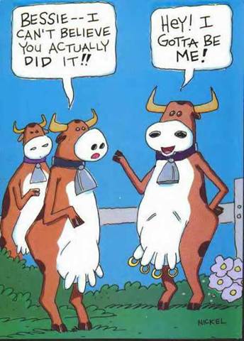 Cow Cartoon