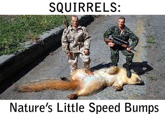 dead squirrel on road with 2 actions figures standing on top of it