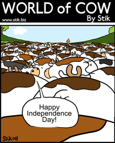 Cows Celebrating Independence Day in a Herd