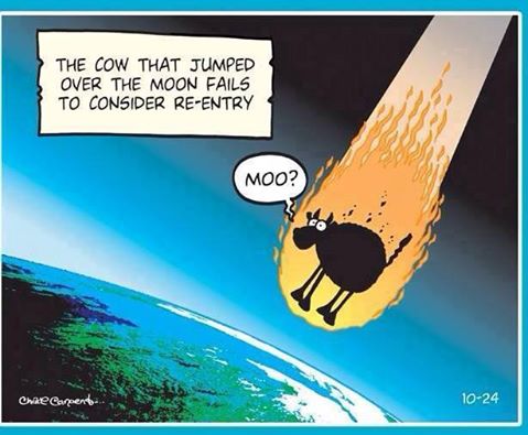 Cow Jumps Over The Moon, and realizes it is going to burn up coming back down, a funny cartoon.