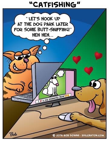 Dogs on an online dating service