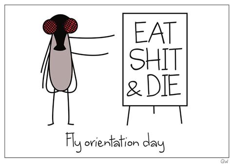fly says on orientation day, eat shit and die.