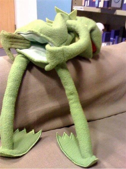 Kermit shows his bottom, a funny cartoon