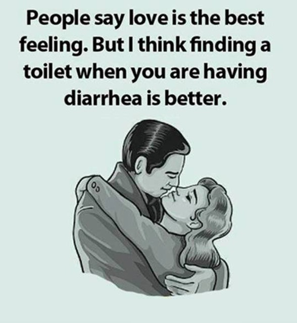 People say love is the best feeling. But I hink finding a toilet when you are havig diarrhea is better, a funny cartoon.