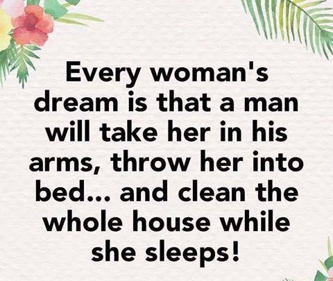 Every woman's dream is that a man will take her in his arms, throw her into bed... and clean the wole house while she sleeps!