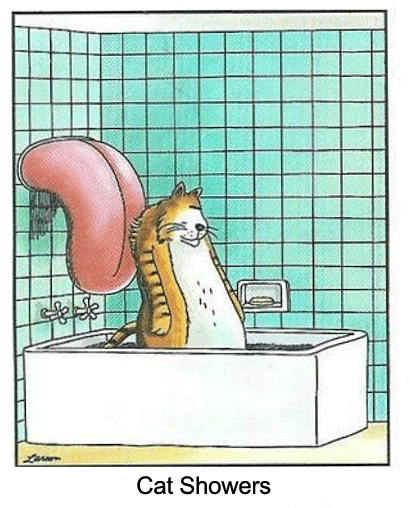 A very large tongue is hanging down on a bathtub wall, licking a cat in his tub.