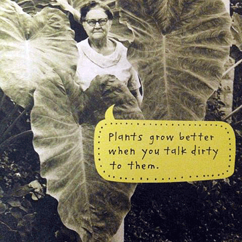 Plants grow better when you talk to them.