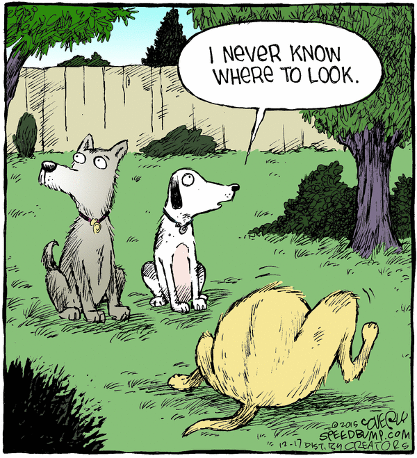 Cartoon of two dogs watching another dog lick himself