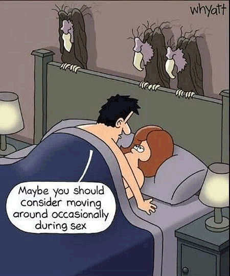 Vultures surrounding a bed, a funny cartoon