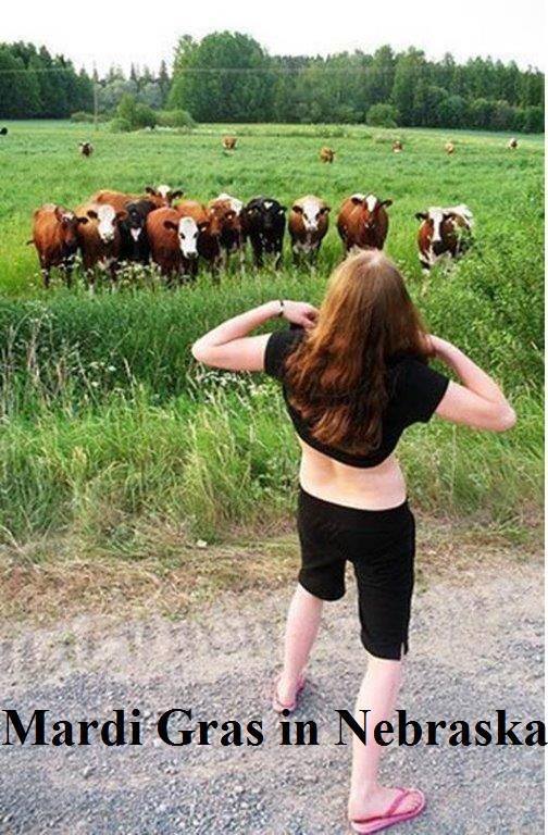 Midwestern girl flashing cows. Mardi Gras in Nebraska