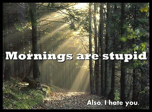 A beautiful forrest scene that says, mornings are stupid, Also, I hate you.