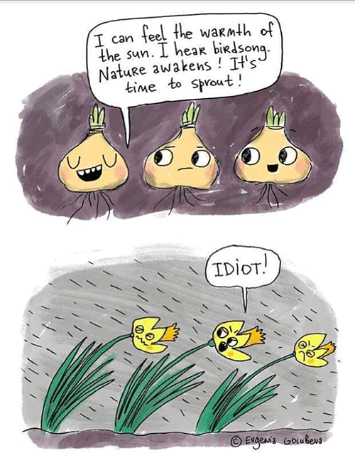 cartoon of 3 bulbs blooming