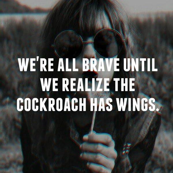 We're all brave until we realize the cockroach has wings