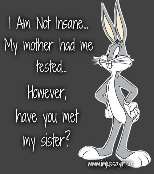 Bunny rabbit says, I am not insane. My mother had me tested. However, have you met my sister?