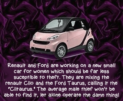 Renault and Ford invented a new safer car for women.