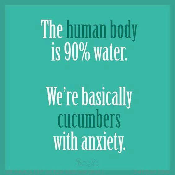Cartoon, The human body is 90 percent water. We're basically cucumbers with anxiety.