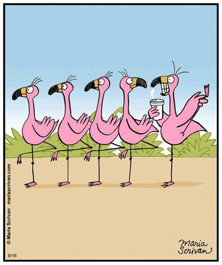 Cartoon of flamingos standing together, one is drinking coffee lifting it's leg high in the air while all the others are only standing one.