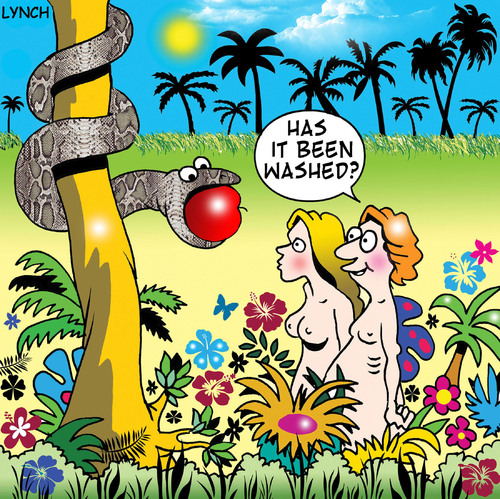 Adam asks Eve if the Apple has been washed, a funny cartoon