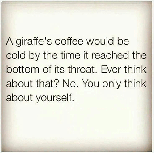 Do you ever wonder if coffee gets cold by the time all if it gets down it's neck? No, I didn't think so, all you care about is yourself, a funny cartton.