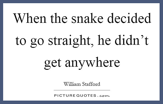 When the snake decided to go straight he didn't get anywhere, quote by William Stafford.