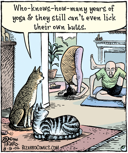 Cat says, who know how many years of yoga & they still can't even lick their own butts.