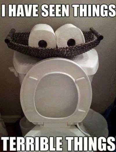 Toilet looks very scared, it has seen horrible things, a funny cartoon