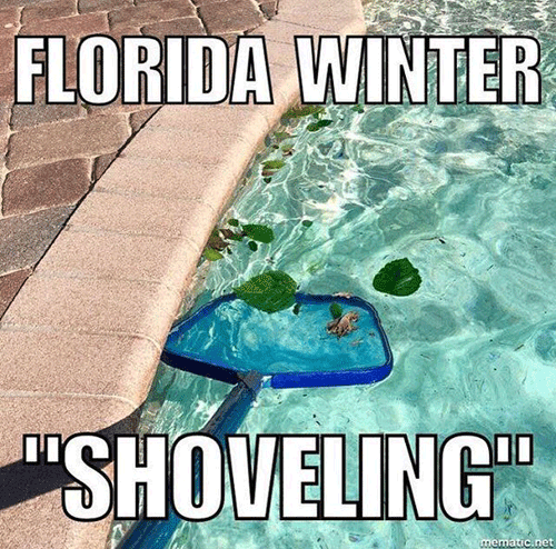 shows a swimming pool and a leave scrapper. Shoveling in the winter in Florida.