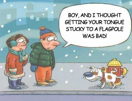 Dog gets stuck to fire hydrant in the freezing winter - a funny cartoon.
