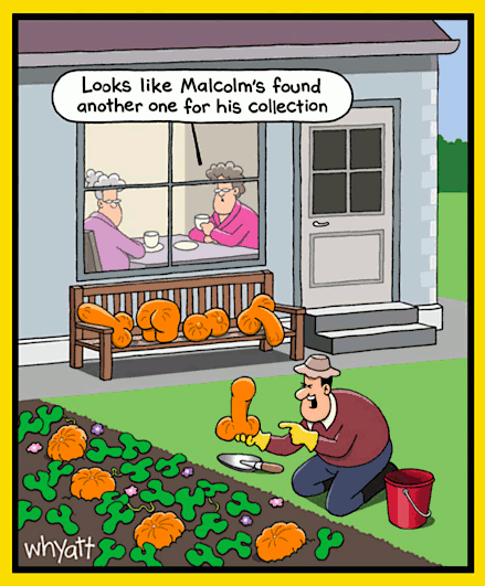 Funny cartoon about a Halloween pumpking collection.