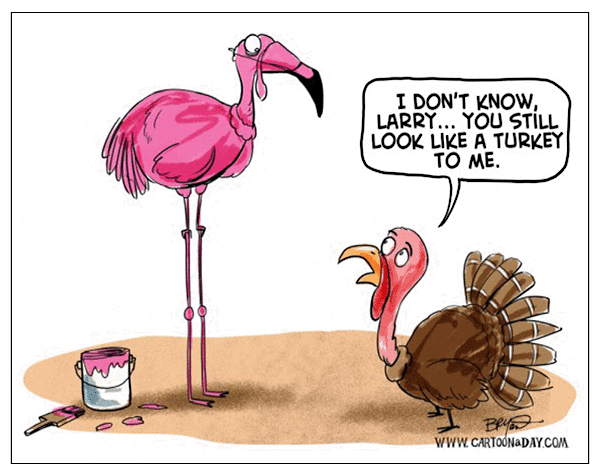 turkey paints itself pink and stands on tall fake legs to lok like a flamingo.