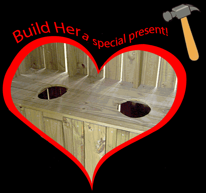 Photo of a two seated outhouse inside a heart. A funny love cartoon