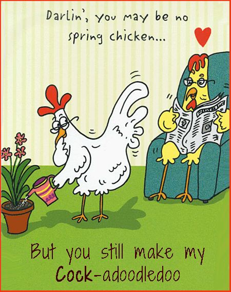 A Valentine's Day Card From Himm a funny cartoon.